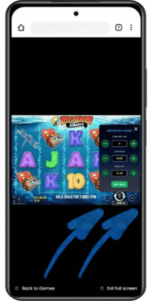 Plus en min knoppen voor inzet van in Big Bass Bonanza demo